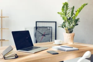 Growing plants in your workplace increases your productivity