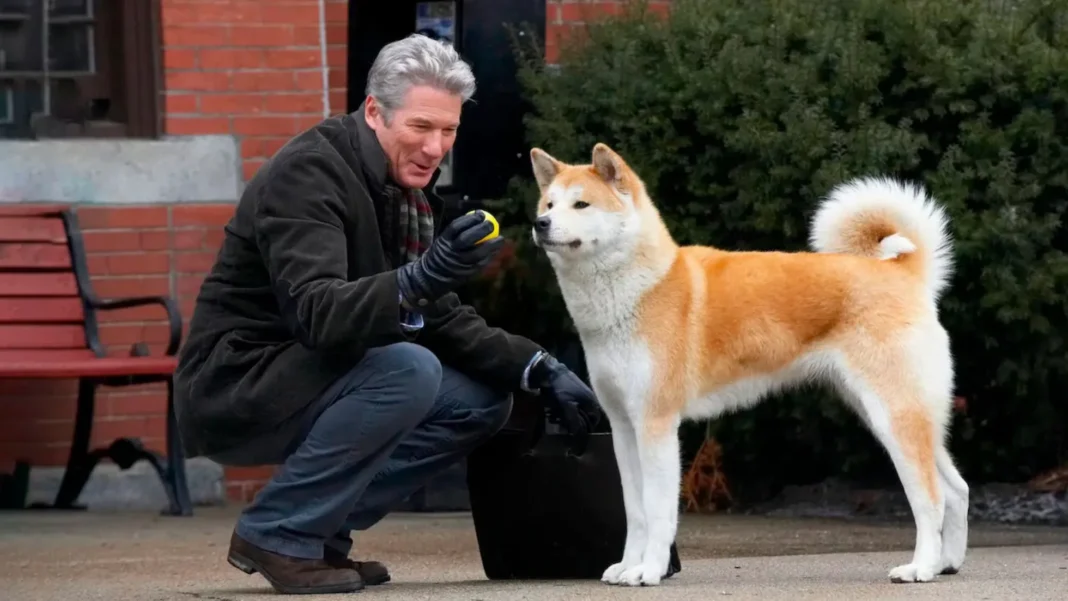 Hachiko Kitabının Özeti